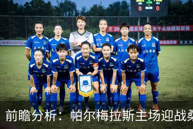 前瞻分析：帕尔梅拉斯主场迎战桑托斯，有望轻松取胜