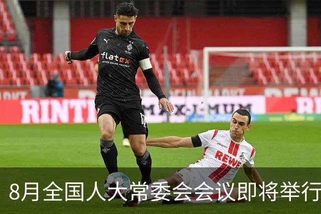 8月全国人大常委会会议即将举行，退休人员应如何关注养老金议题